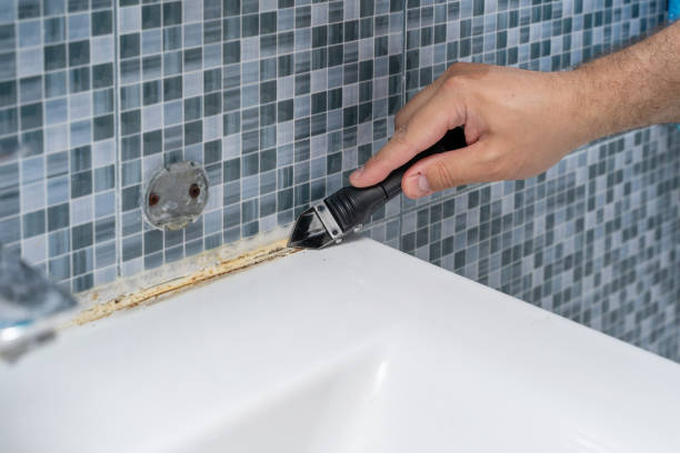 Best Home Mold Removal  in Lakin, KS