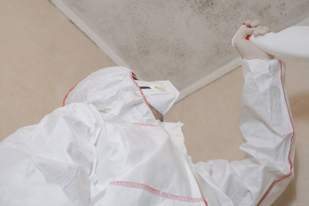 Best Commercial Mold Removal  in Lakin, KS